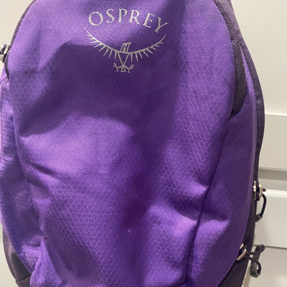 Osprey daylite sling bag